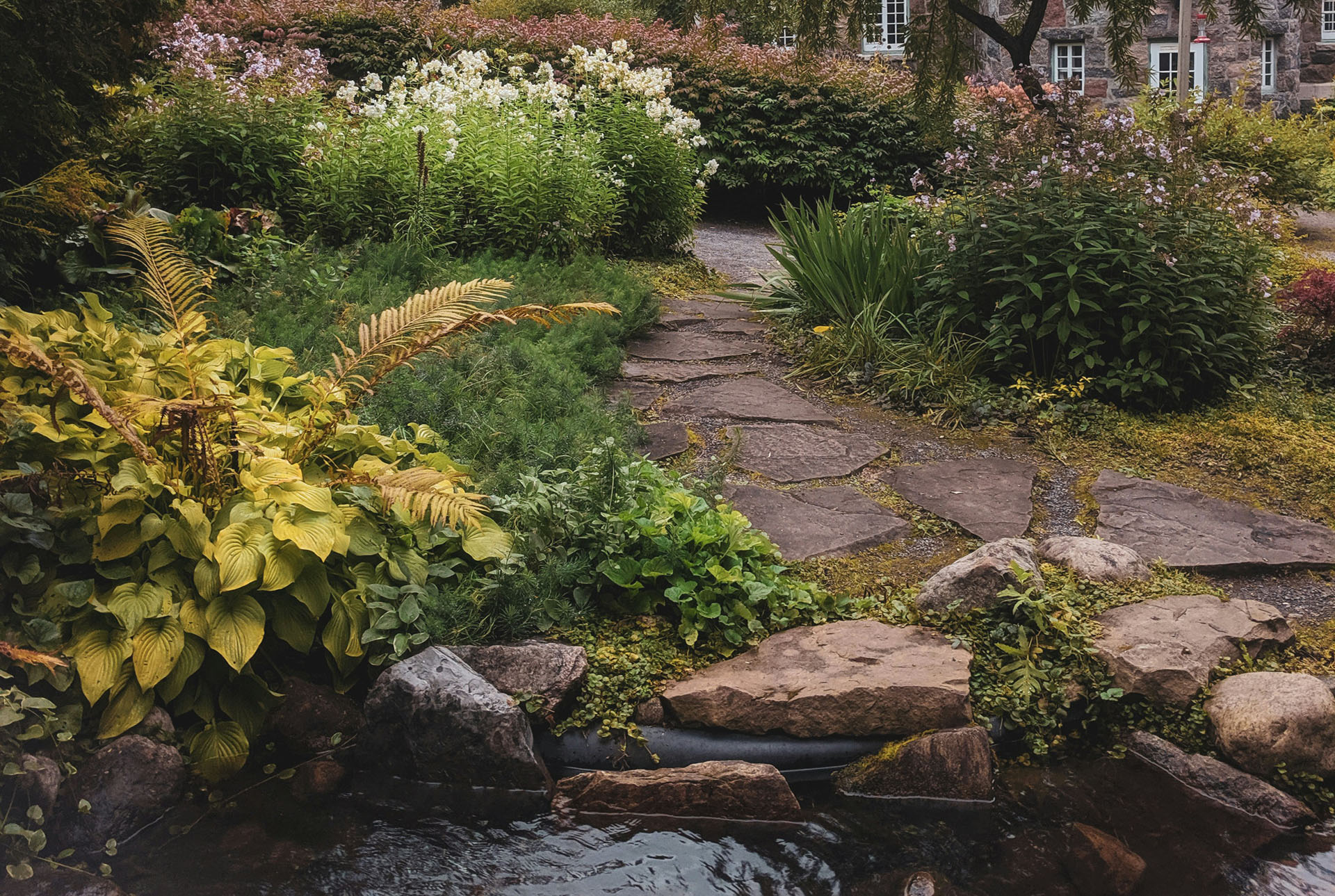 Family Garden Landscape